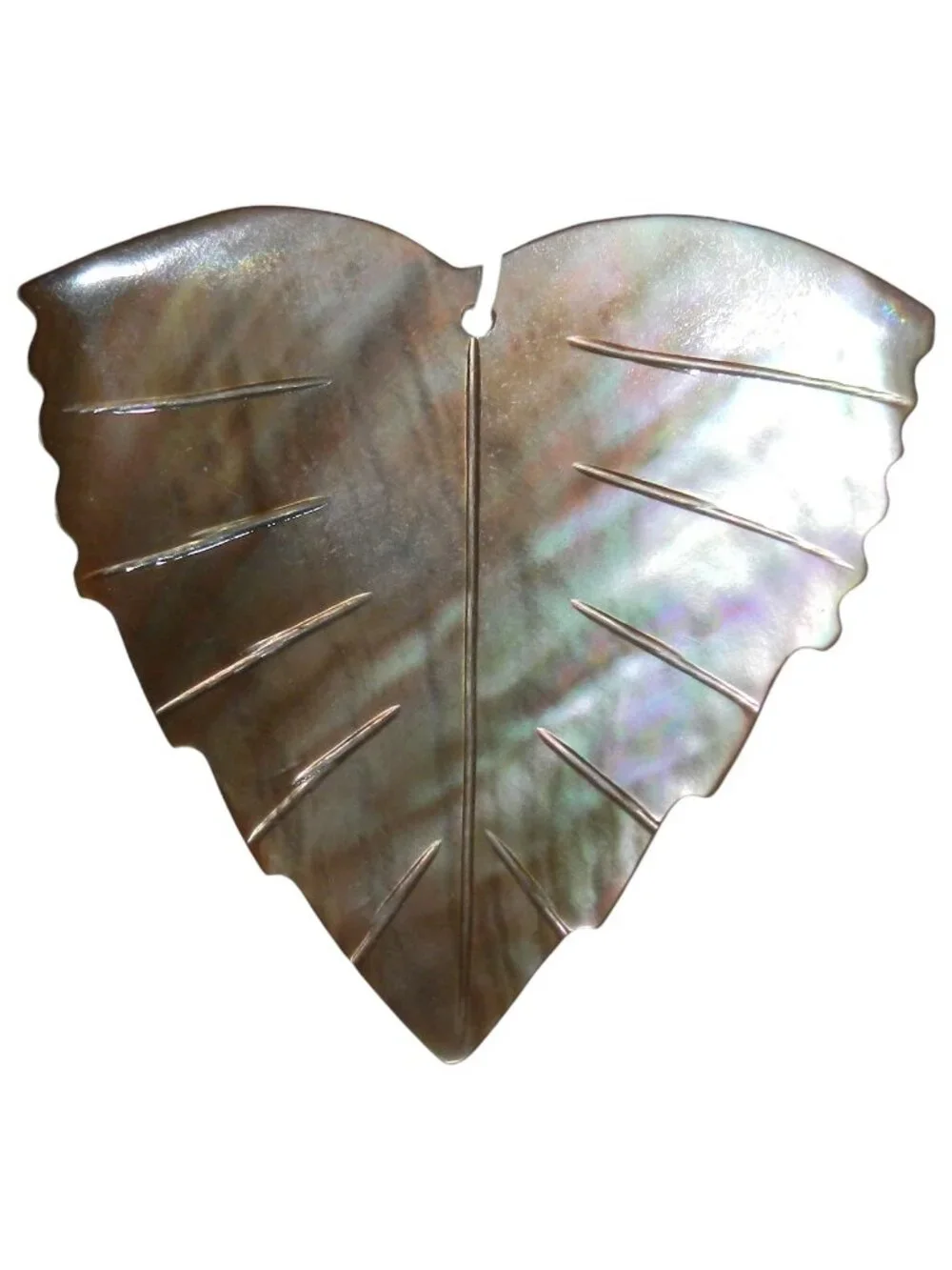 Brown Lip Shell 46mm Carved Leaf Natural Gemstone Pendant Focal Bead P2184